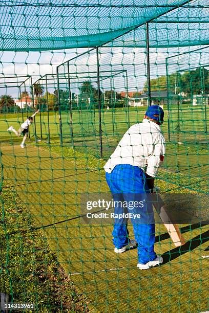 cricket practice - netting stock pictures, royalty-free photos & images