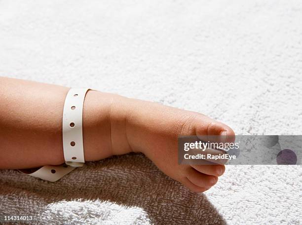 hospital tag baby foot - name tag bildbanksfoton och bilder