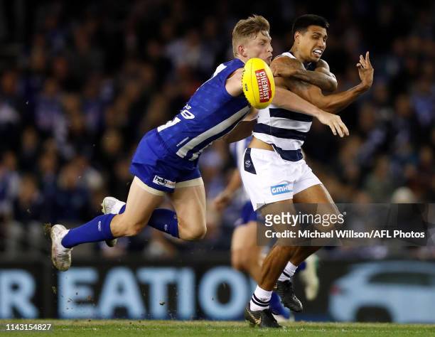 Tim Kelly of the Cats and Jack Ziebell of the Kangaroos in action during the 2019 AFL round 08 match between the North Melbourne Kangaroos and the...