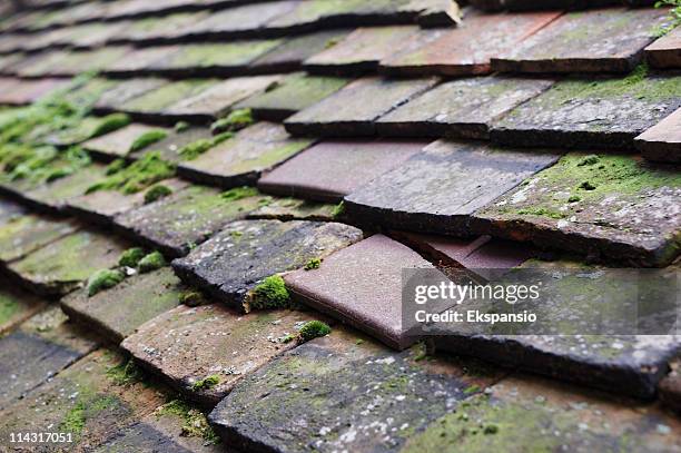 closeup view of cracked roof tiles with moss - damaged shingles stock pictures, royalty-free photos & images