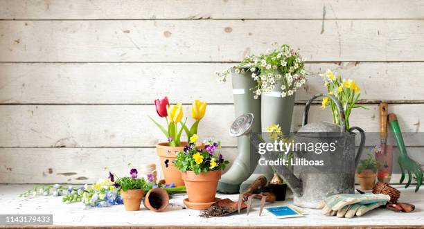 trädgårds verktyg bakgrund - blomkorg bildbanksfoton och bilder