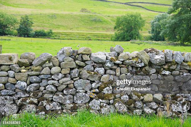 dry steinmauer in yorkshire dales-nationalpark - steinwand stock-fotos und bilder