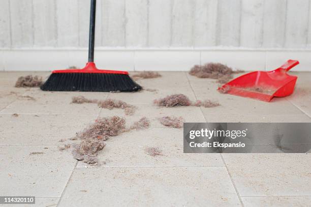 Swept Up In 1,467 Sooty Sweep Stock Photos, High-Res Pictures, and Images - Getty ...