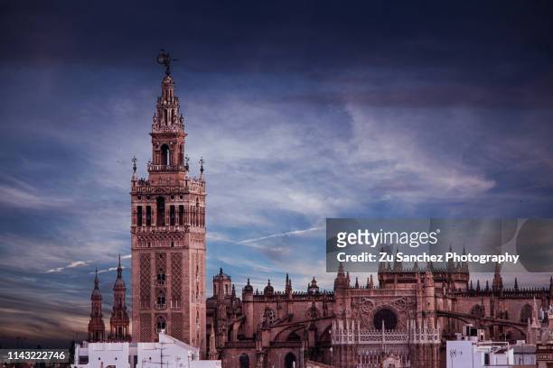 giralda and cathedral of seville - la giralda stock pictures, royalty-free photos & images