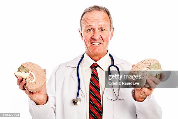 Brain Halves High-Res Stock Photo