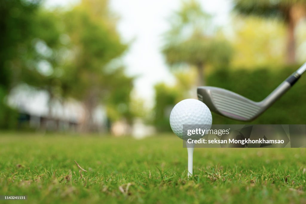 Playing golf. Golf club and ball. Preparing to shot