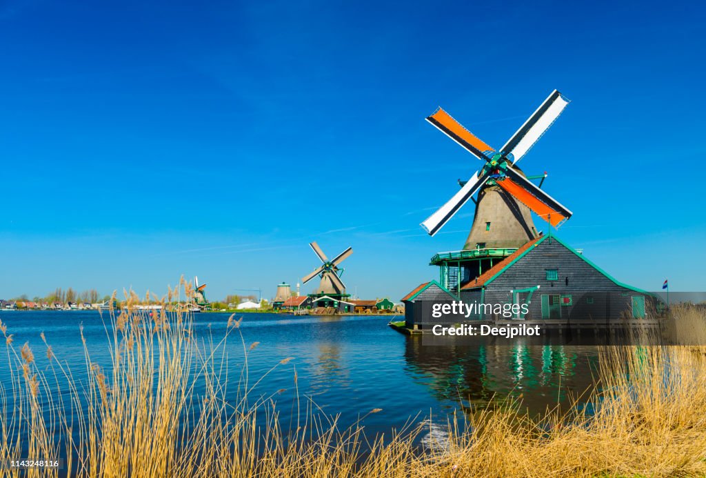 Molinos de viento en la orilla del río, Zaans Schans, norte de Ámsterdam, Holanda