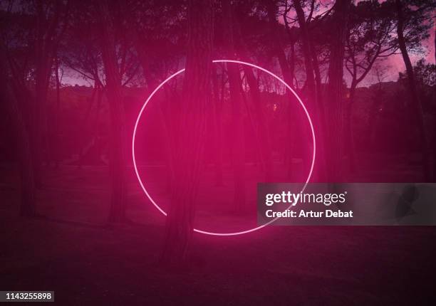 circle red light between pine trees with futuristic visual effect. - light circle stock-fotos und bilder