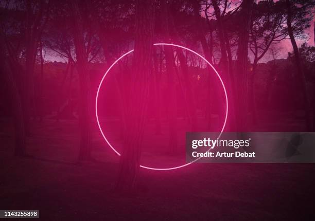 circle red light between pine trees with futuristic visual effect. - neon circle stock pictures, royalty-free photos & images