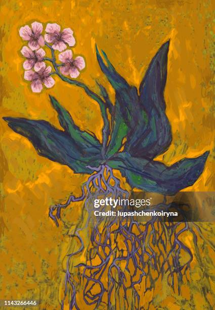 fashionable illustration modern art work allegory my original oil painting impressionism fantasy still life blooming light pink orchid with leaves and flowers and roots - expressionism stock illustrations