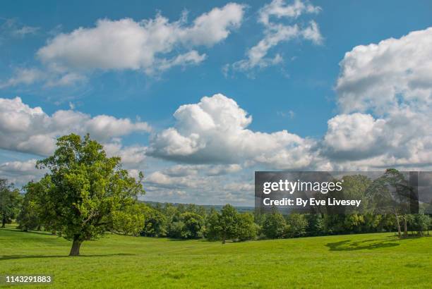 south downs in summertime - cumulus stockfoto's en -beelden