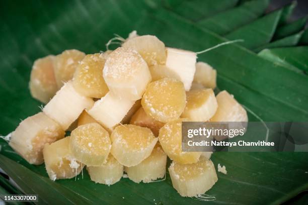 sugar cane slices ready to eat - sugar cane stock pictures, royalty-free photos & images