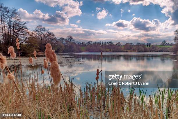 spring view of harthill ponds - south yorkshire stock pictures, royalty-free photos & images