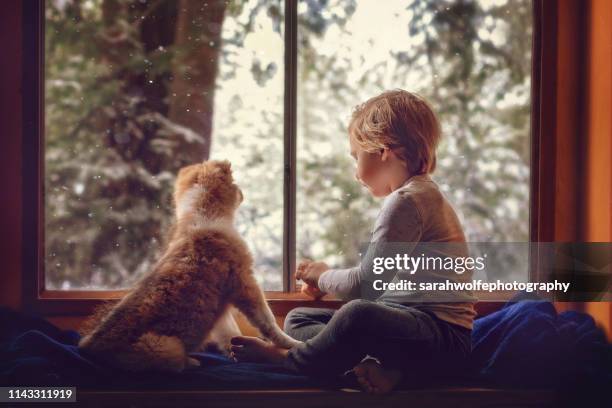 young boy watching the snow fall with his puppy - sitting indoor stock pictures, royalty-free photos & images