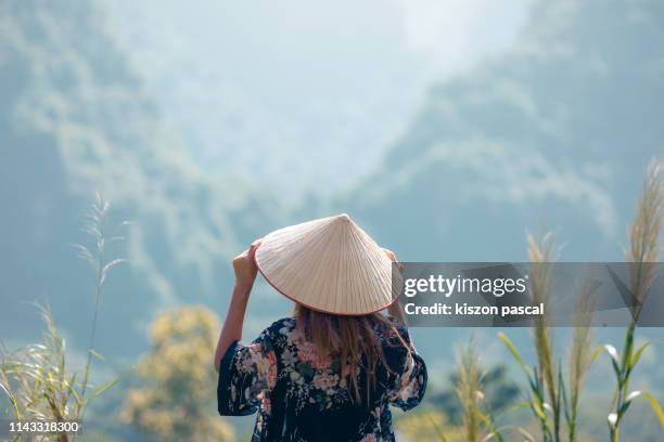 rear view of a vietnamese woman with asian style conical hat looking at mountain in northern vietnam during day . - november 1 2017 stock-fotos und bilder