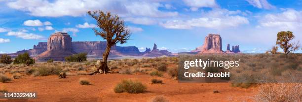 monument valley - red rocks bildbanksfoton och bilder