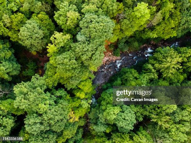 aerial view of river flowing amidst trees in pisgah national forest - national forest imagens e fotografias de stock