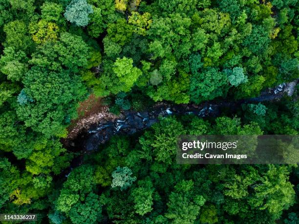 aerial view of river flowing amidst trees at pisgah national forest - north carolina aerials stock pictures, royalty-free photos & images