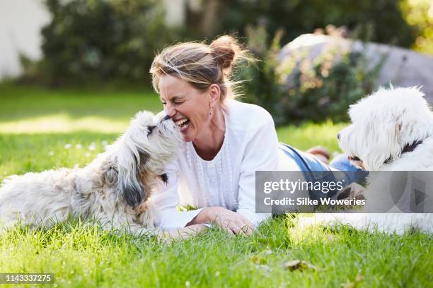 portrait of a mature content woman getting kisses from her dog in her garden - hund klein stock-fotos und bilder