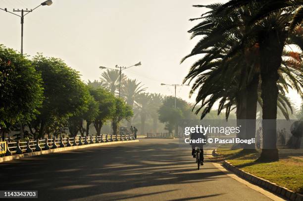 bahir dar main road and its palm trees, ethiopia - bahar dar stock-fotos und bilder