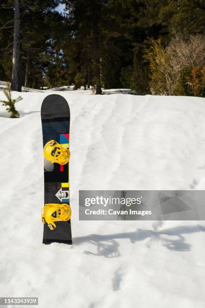 snowboard on snow covered field against trees in forest - snowboard stock-fotos und bilder