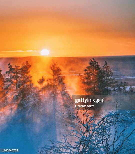 beautiful sunset view on foggy and snowy forest in lapland, finland - winter sunset stock pictures, royalty-free photos & images