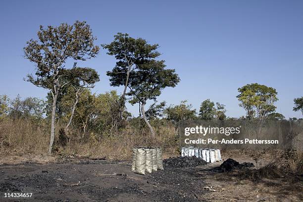 Deserted charcoal production area on June 17, 2010 about 100 kilometers outside Lusaka, Zambia. The workers ran away when out cars were approaching....
