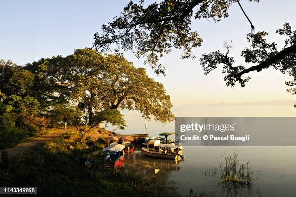 lake tana early in the morning, bahir dar, ethiopia - bahar dar stock-fotos und bilder