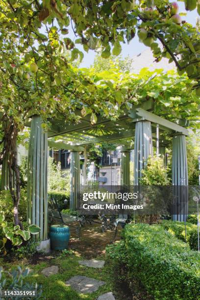 benches under columns in lush garden - belvedere stock pictures, royalty-free photos & images