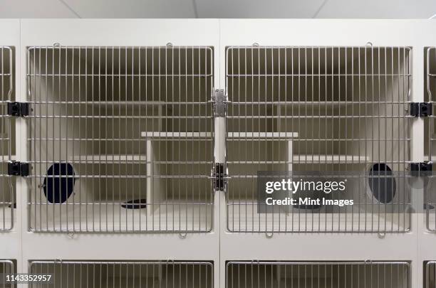 metal doors of empty cages in animal shelter - cage stock pictures, royalty-free photos & images