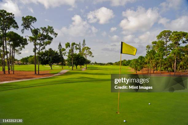 golf balls by hole on putting green - putting green stock pictures, royalty-free photos & images