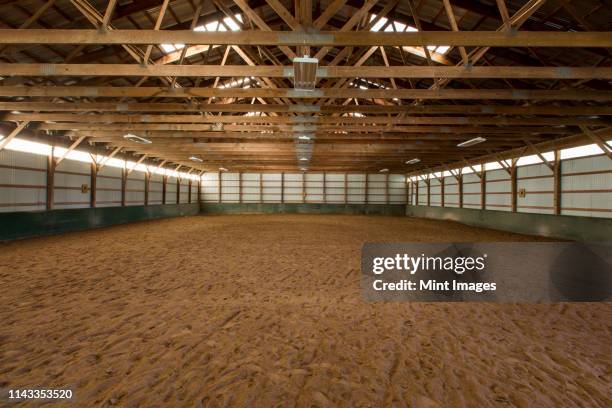 empty indoor horse riding ring - wood ceiling stock pictures, royalty-free photos & images