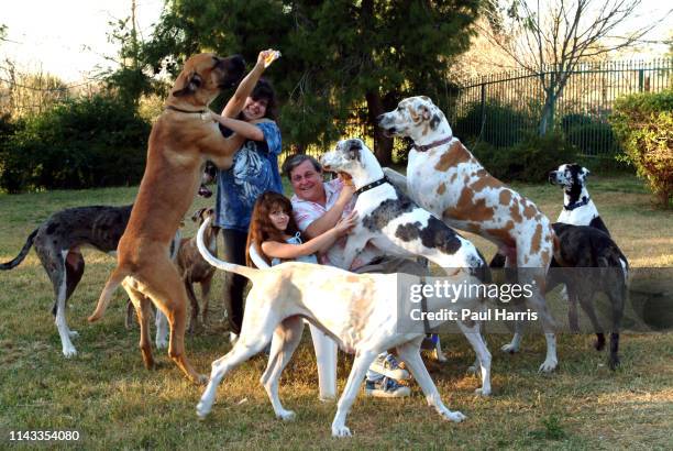 Actor Burt Ward who was the original Robin in Batman and Robin now owns a Great Dane Rescue with his wife Tracy in Norco, one of California's last...