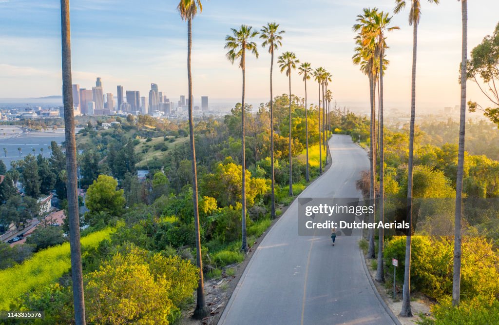 Giovane donna che cammina lungo Palm Trees Street rivelando il centro di Los Angeles