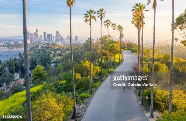 young woman walking down palm trees street revealing downtown los angeles - downtown los angeles aerial stock pictures, royalty-free photos & images