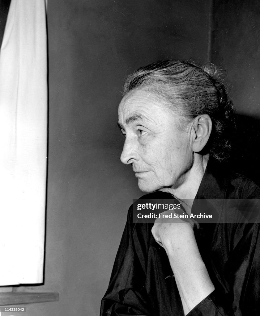 Portrait Of Georgia O'Keeffe