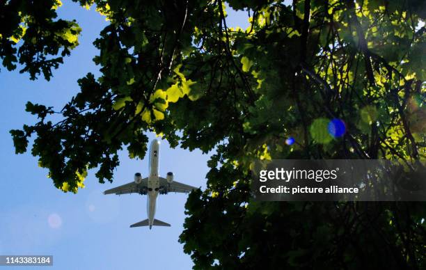 May 2019, Lower Saxony, Langenhagen: A passenger plane approaching Hannover Airport flies over a canola field. At the start of international climate...