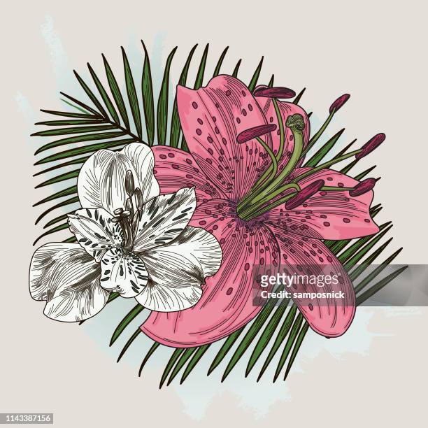 lily flower bouquet on palm background - alstroemeria stock illustrations