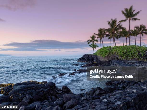 a rising sun illuminates a lava strewn shoreline on the kona coast of the island of hawaii as palm tree sway in the wind. - kailua stock pictures, royalty-free photos & images