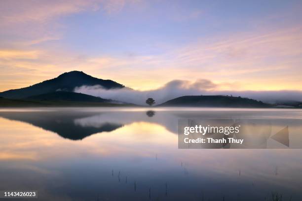 reflective trees on the lake - new zealand foto e immagini stock