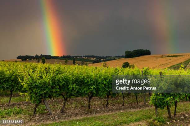 beautiful sunset with a rainbow over a vineyard, france - burgundy france stock pictures, royalty-free photos & images