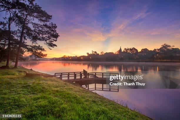 reflection pine trees on the lake - floresta de boreal imagens e fotografias de stock