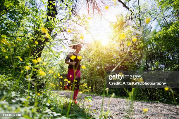 young sporty woman jogging through the forest. - correr imagens e fotografias de stock