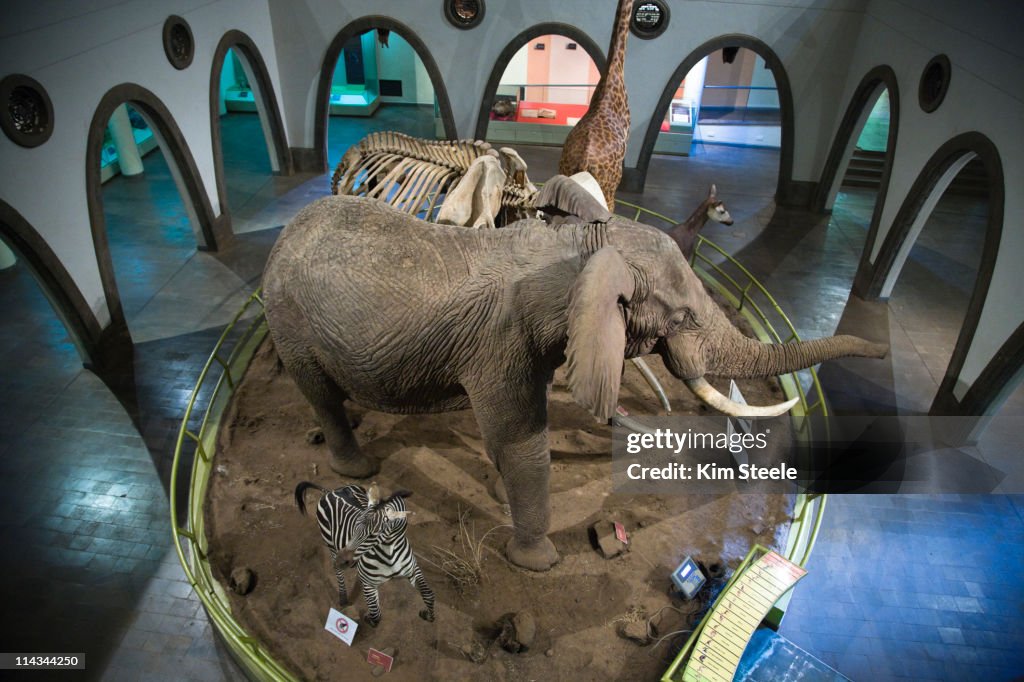 Nairobi National Museum display.