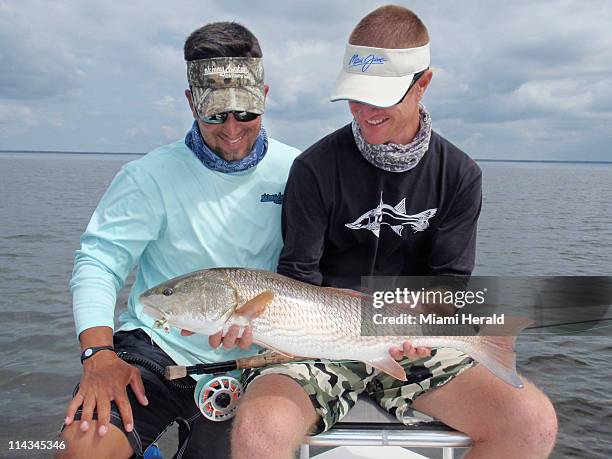 31 Schael Stock Photos, High-Res Pictures, and Images - Getty Images