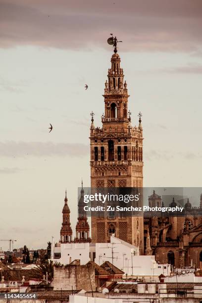 giralda - seville cathedral stock pictures, royalty-free photos & images