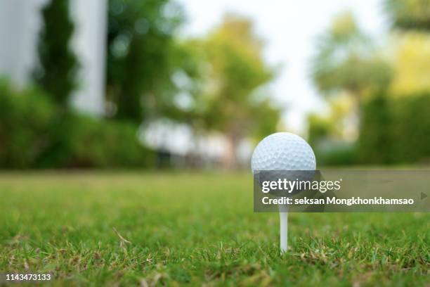 golf club and ball in grass - tee sports equipment fotografías e imágenes de stock