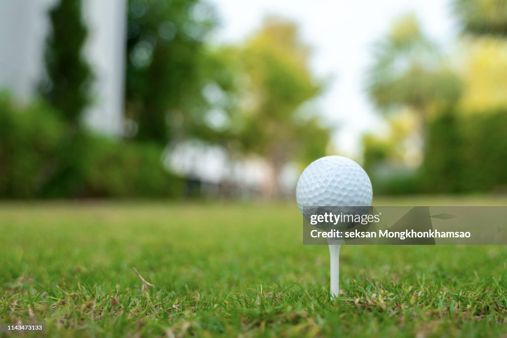 Golf club and ball in grass