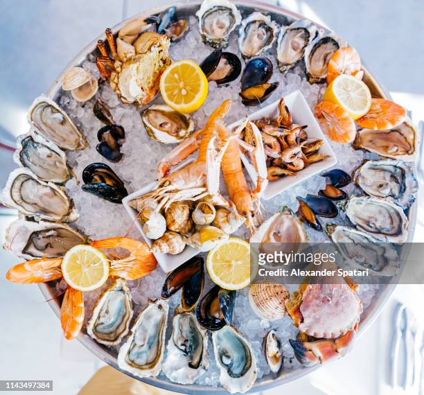 directly above view of a round seafood plate with oysters, prawns, crabs and snails - シーフード ストックフォトと画像