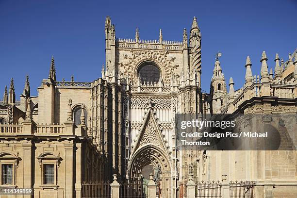 16th century gothic cathedral of seville (la catedral de sevilla) - catedral de sevilla stock pictures, royalty-free photos & images